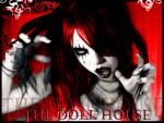 << °Oo Mes Conseils oO° >>